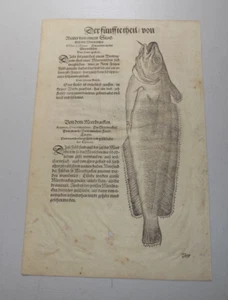 1600 Gessner Leaf from THIERBUCH / Printed Double-Sided, with FISH IMAGES - Picture 1 of 4