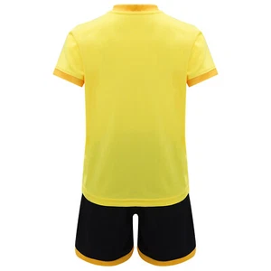 Kids Boys Uniform Ping Pong Sports Set Training Outfits Children Tracksuit Game - Picture 1 of 53