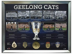 GEELONG CATS HISTORY PRINT IMAGE PREMIERSHIP BROWNLOW COLEMAN MEDALLISTS FRAMED - Picture 1 of 6