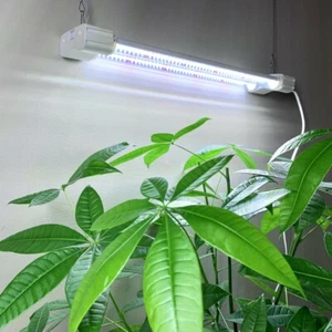 LED Grow Light 2FT Seedlings Mother Plant Flowers Full Spectrum Hydroponic - Picture 1 of 20