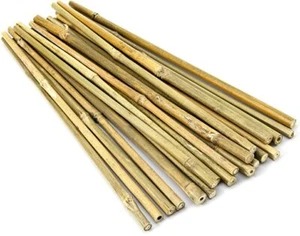 50 Tutori bambu Paletti Piante Canne bamboo Supporto lunghezza 50-100-150-200 CM - Zdjęcie 1 z 11