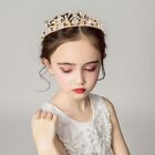 Flower Baroque Crystal Tiara Hollow Princess Hair Hoop Wedding Crown  Birthday