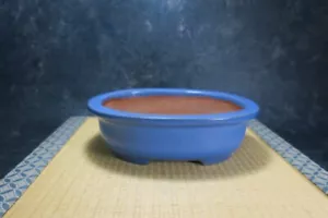 Genuine Japanese Bonsai pot "Yamafusa" from Tokoname. - Bild 1 von 14
