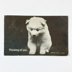 Linda foto de mascota de colección de perro blanco esponjoso cachorro esquimal americano postal - Imagen 1 de 7