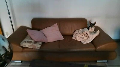 2er und 3er sofa in Braun, guter Zustand  - Bild 1 von 3