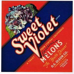 CARDBOARD ADVERTISING SIGN CRATE LABEL VINTAGE TURLOCK 1940S MELON SWEET VIOLET - Picture 1 of 1
