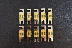 10 PK 100 AMP MINI ANL FUSIBLES NIQUELADOS EN LÍNEA AFC AFS HOJA AUTO COCHE MANL100 - Imagen 1 de 8