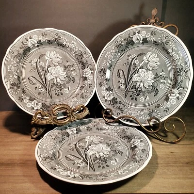 Spode Archive Collection Georgian Black Botanical Dinner Plate 10.5” Set Of 3 - Image 1 of 4