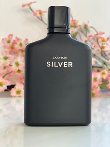 silver zara man