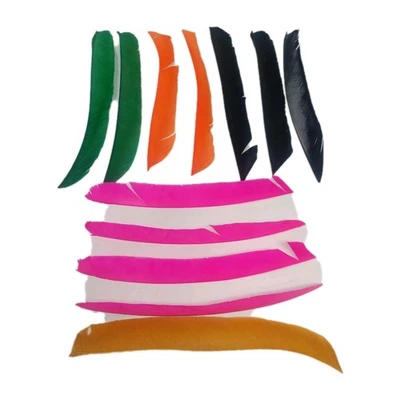 12 Count Gateway Feathers FULL LENGTH Right Wing Lot: Pink, Black, Orange, Green - Image 1 of 4