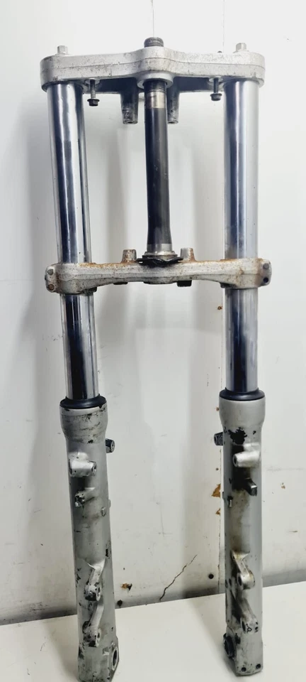 FORCELLA ANTERIORE COMPLETA Suzuki Sv 650 S 1999 2000 2001 2002 - Immagine 1 di 4