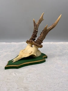 REH REHBOCK GEWEIH MONTIER AUF HOLZPLATTE HÖHE ca. 30cm - Bild 1 von 11