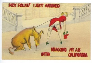 Western Publishing & Novelty Co. California Postcard - Picture 1 of 2