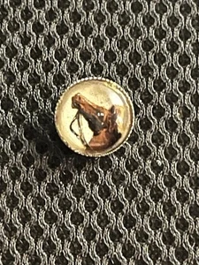 Vintage GLASS DOME BUTTON Horse - Picture 1 of 4