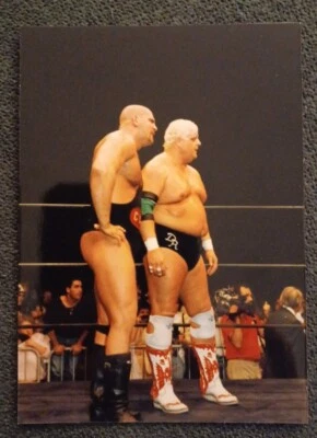 💥1️⃣9️⃣8️⃣7️⃣ Original Nikita Koloff Dusty Rhodes 3.5x5 Photo NWA WWF Wrestling - Изображение 1 из 2