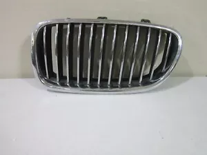 BMW 5 SERIES 2009-2012 BASIS DRIVER SIDE LEFT KIDNEY GRILLE OEM 51137200727 - Bild 1 von 9
