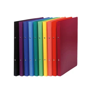 20 x EXACOMPTA Ringbuch blickdicht A4 Ringordner 2-Ringe Rückenbreite: 20mm - Bild 1 von 1