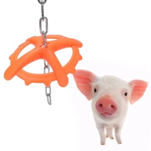 Hanging Chain Veterinary Food Appeal Farm Animals Piglet Chew Bite Toy KMY - Picture 1 of 7