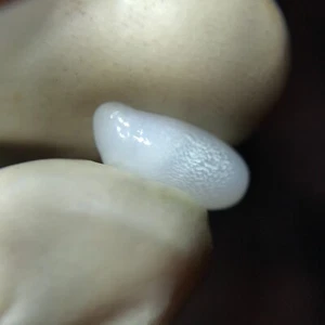 Natural Wild Tridacna White Clam Pearl 2.59ct with AA Flame - Picture 1 of 5