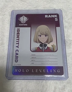 Tarjeta de identificación SL1E-PM-08 CHA HAE-IN AUTÉNTICA Solo Nivelación Mapniverse - Imagen 1 de 2