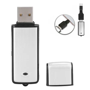 8GB X09 USB Flash Disk Recording Pen Storable Playable MP3 Dual Purpose Voic NEW - Afbeelding 1 van 12