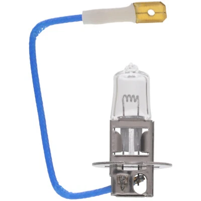 Wagner Lighting BP2470H3 - Image 1 of 4