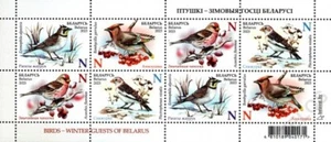 2023 Aves bielorrusas - Invitados de invierno de Bielorrusia montada sin montar o nunca montada - Imagen 1 de 1