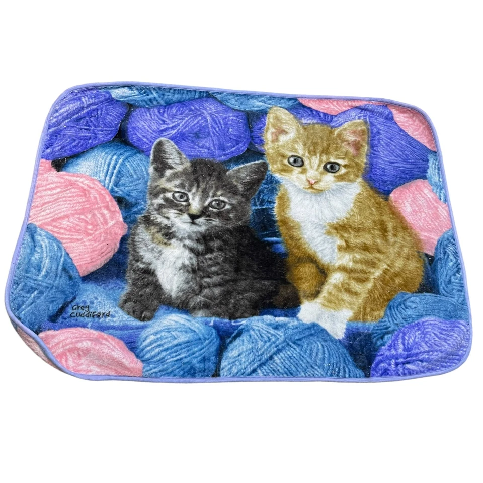 Manta suave naranja gatito gatitos en hilo noroeste 48x61 Greg Cuddiford Foto 1 de 4