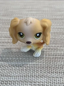 Authentic Littlest Pet Shop LPS #79 Cream Cocker Spaniel Dog - Picture 1 of 4