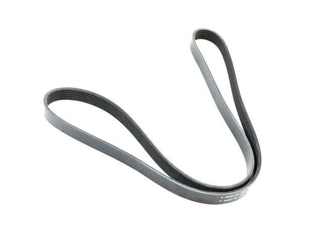 01-04 Chrysler Concorde Intrepid 300M Accessory Drive Belt Mopar New OEM - Image 1 of 1