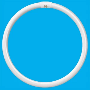 4x 40W G10Q 4 Pin T9 Round 400mm Circular Lamp Fluorescent Tube Ring Light Bulb - Picture 1 of 1