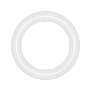 8 in. T9 G10q Type A Plug & Play Circline LED Replacement for 22 Watt FCL22W - Picture 1 of 8