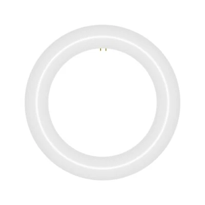 8 in. T9 G10q Type A Plug & Play Circline LED Replacement for 22 Watt FCL22W - Image 1 of 4