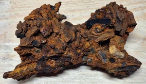 Horno de cerdo único y escoria de Michigan de finales de 1800 Lake Superior - Imagen 1 de 11