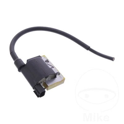 Nueva bobina de encendido genuina OEM para Beta RR 350 EFI Enduro Foto 1 de 4