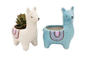 Alpaca Succulent Pots, 2 Pc. Set Ceramic Cute Animal Planter Pots - Picture 1 of 4