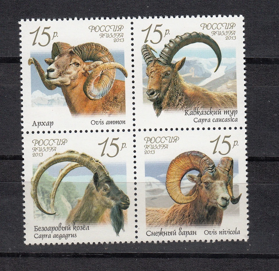 Russia 2013 Mi.#1899-02 Wild Goats and Rams set 4 stamps MNH Cat. Eu 7.20 - Image 1 of 1