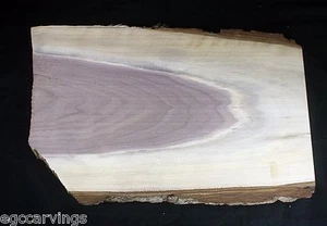 Rustic walnut Natural Live Edge Taxidermy Deer Horn Skull wood Mounting Board - Picture 1 of 2