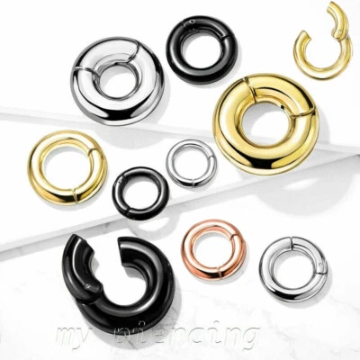 Hinged Clicker Segment Rings PVD 316L Surgical Steel Earring Septum - Image 1 of 4