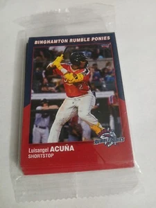 2023 BINGHAMTON RUMBLE PONIES UPDATE SET 14 CARDS NEW COMPLETE - Bild 1 von 5