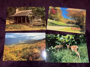 Postkarten Lot, "VIRGINIA" 4 alte Postkarten ummantelt, nie verschickt - Bild 1 von 3
