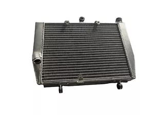 Fit Honda DN-01 RC55 2008-2011 Aluminum Radiator 19010-MEH-003 - Picture 1 of 6
