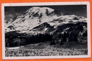 Paradise Valley, WA, Rainier Nationalpark, Echtfoto Postkarte pm 1954 - Bild 1 von 2