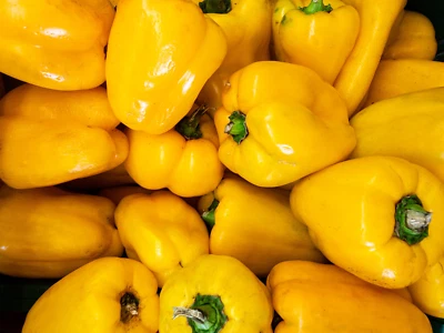 SEEDVILLE USA 50 YELLOW Cheese PIMENTO PEPPER Capsicum Annuum Vegetable Seeds