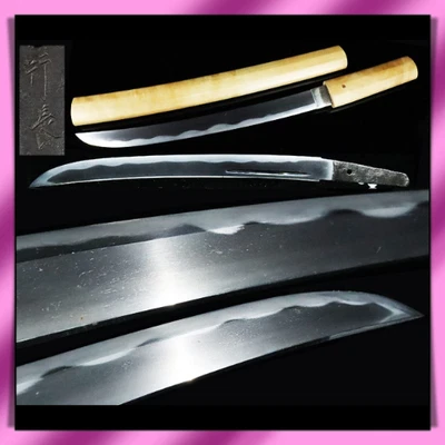 Wakizashi 脇差 “Yukinaga” 行長 Espada Real Japonesa 37,9 cm Shirasaya KATANA 刀 Foto 1 de 4