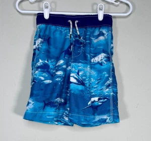 GapKids Swim Shorts Trunks Boy's Small (6-7) Blue Shark Graphic Print Casual - Picture 1 of 12