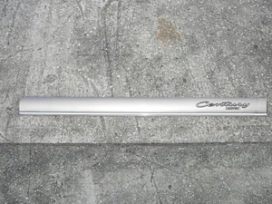Buick Century Limited 2000 puerta delantera derecha lado del pasajero moldura de impacto OEM - Imagen 1 de 6