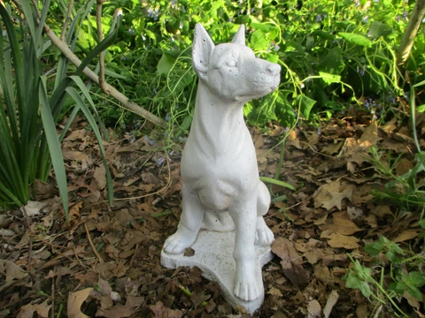 MAJESTIC UNUSUAL WHITE DOBERMAN DOG VINTAGE CEMENT/CONCRETE GARDEN STATUE 14"T Cover
