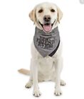 Reddy Best Friends Dog Bandanas With Snap Closure Denim and Reversible NWT