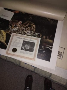 Charles Frace' A Sunny Spot Margay Spotted Cat  Signed/Numbered W/COA - Picture 1 of 2
